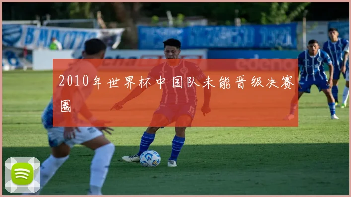 2010年世界杯中国队未能晋级决赛圈