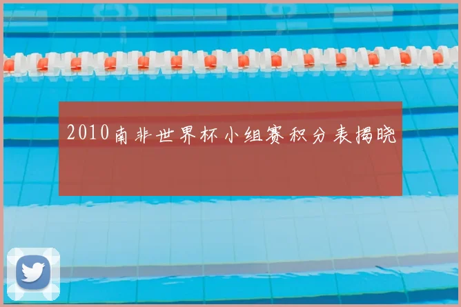 2010南非世界杯小组赛积分表揭晓